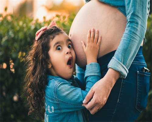 深度解析上海新孕包成功方案：如何通过合同保障权益？